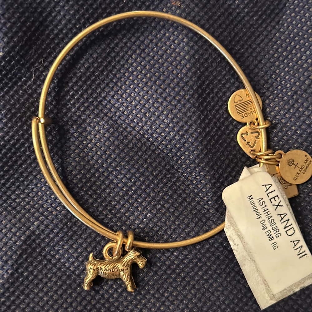 Alex and Ani gold tone bracelet